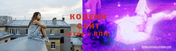 гидра Вяземский