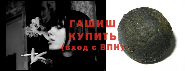 гидра Вяземский