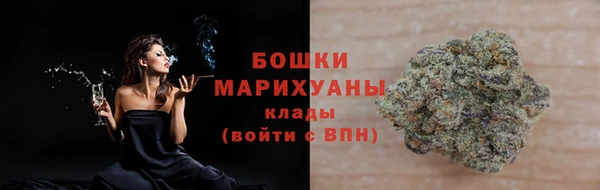 гидра Вяземский