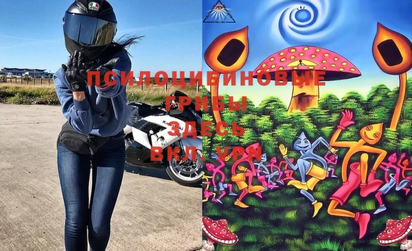 PSILOCYBIN Остров