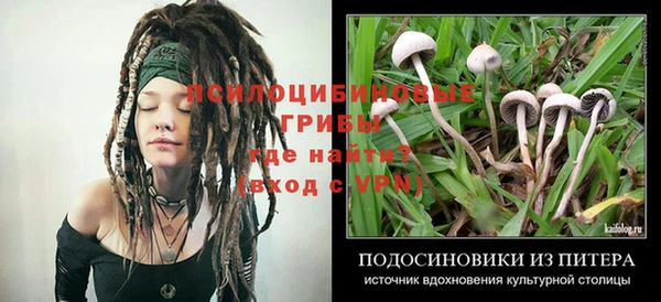 гидра Вяземский