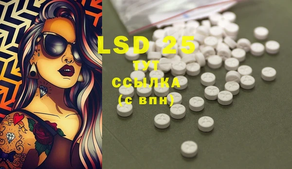 гидра Вяземский