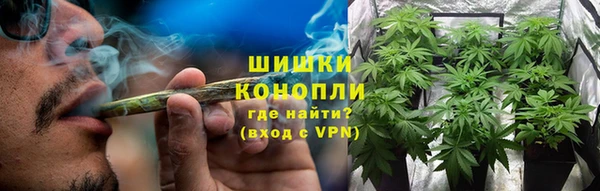 гидра Вяземский