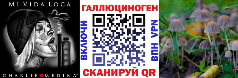 Псилоцибиновые грибы Psilocybine cubensis  mega ссылки  Калининск 
